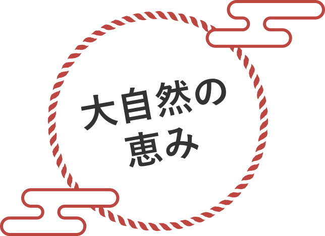 大自然の恵み